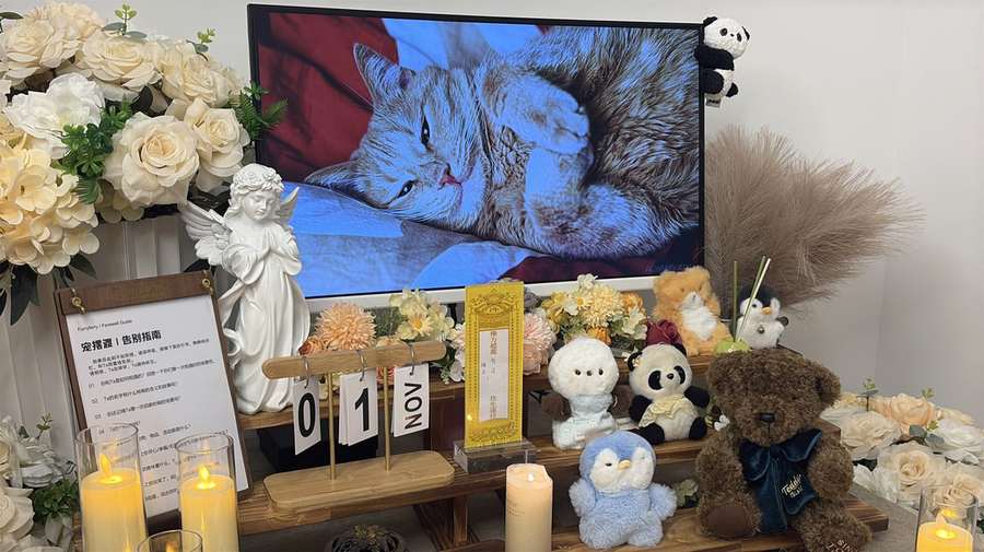 保定告别厅实景